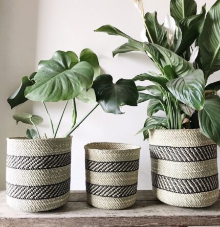 Handwoven Planter Baskets